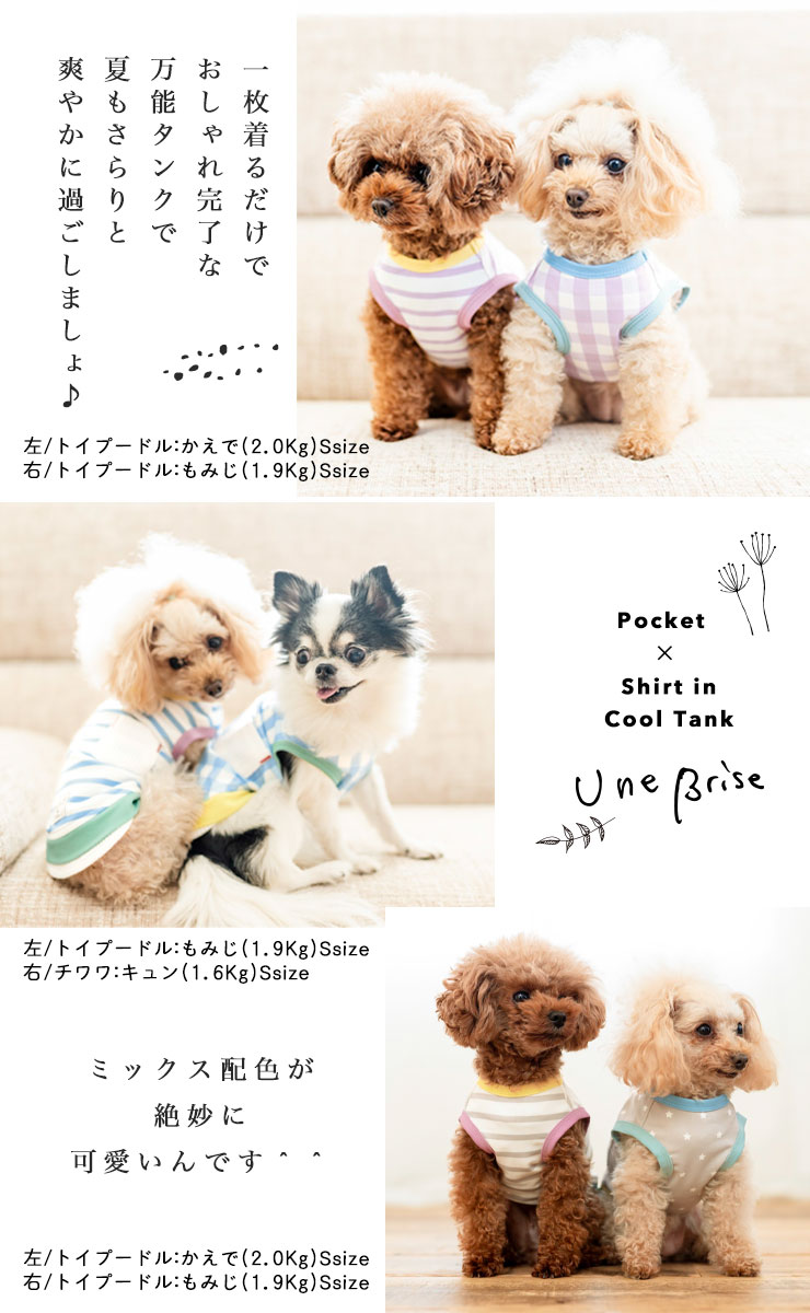 【まとめ買い対象】犬 服 接触冷感 虫よけ ラディカ ポケット×シャツIN クールタンク ドッグウエア プレサーモC25 防蚊 水着素材 メール便可｜radica｜18