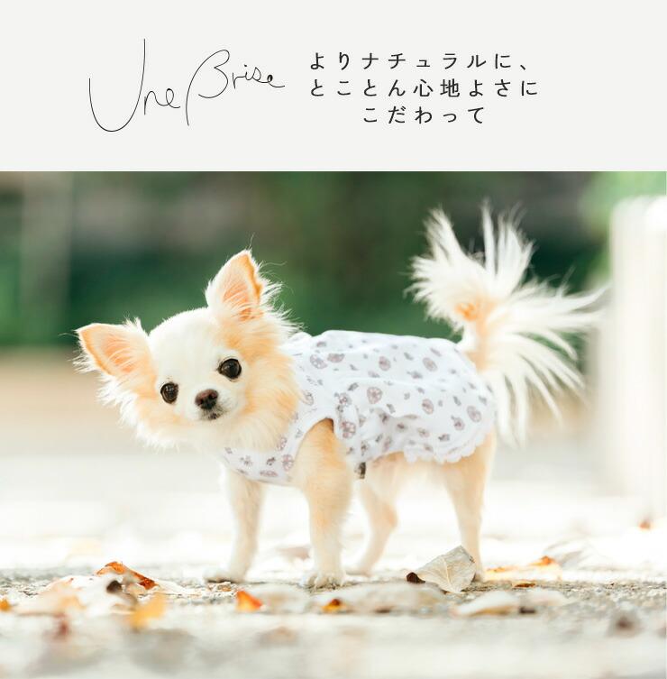 RADICA（ラディカ） 【まとめ買い対象】犬 服 虫よけ UneBrise