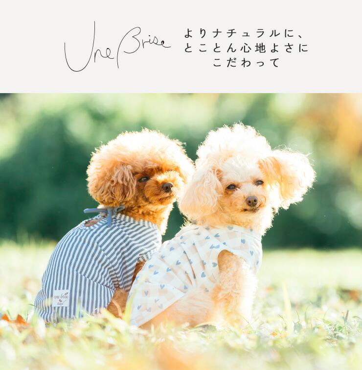 【まとめ買い】 犬 服 接触冷感 虫よけ ラデ...の詳細画像1