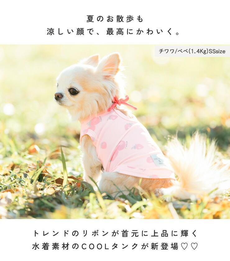 【まとめ買い】 犬 服 接触冷感 虫よけ ラデ...の詳細画像3