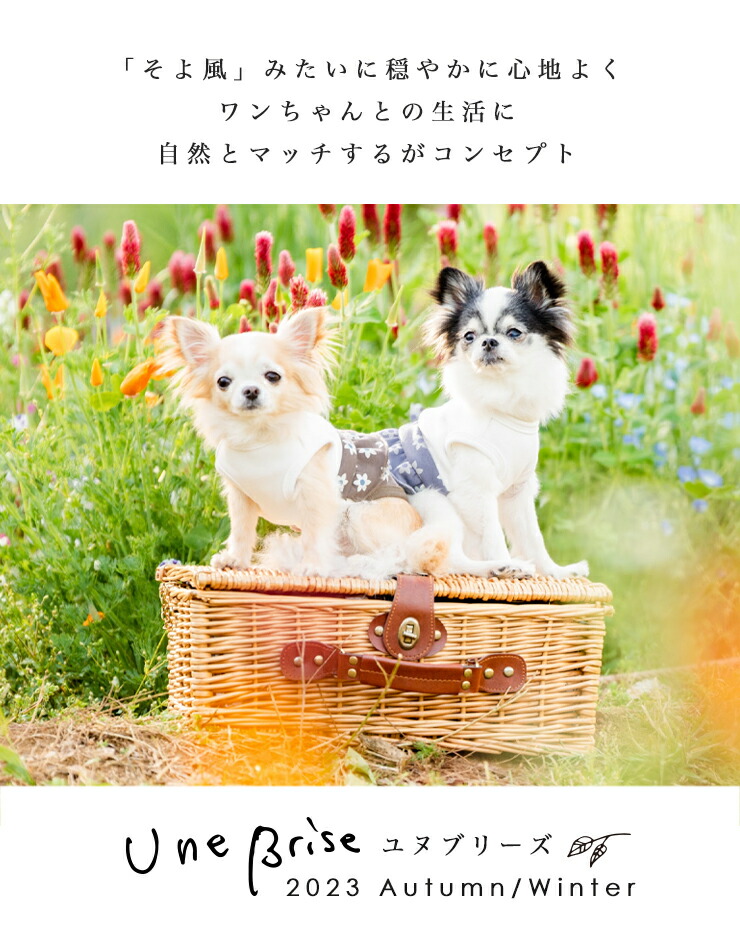 【1090円均一SALE】犬 服 ラディカ UneBrise おすまし 裏ボア セットアップ タンク 花柄 犬 の服 プレサーモC-31 メール便可｜radica｜07