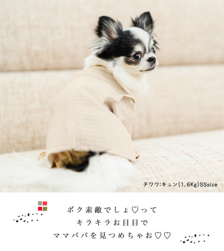 【40%off】犬 服 ラディカ UneBrise ナチュラルドット羽織袴 お正月 着物 和柄 七五三 結婚式 メール便不可