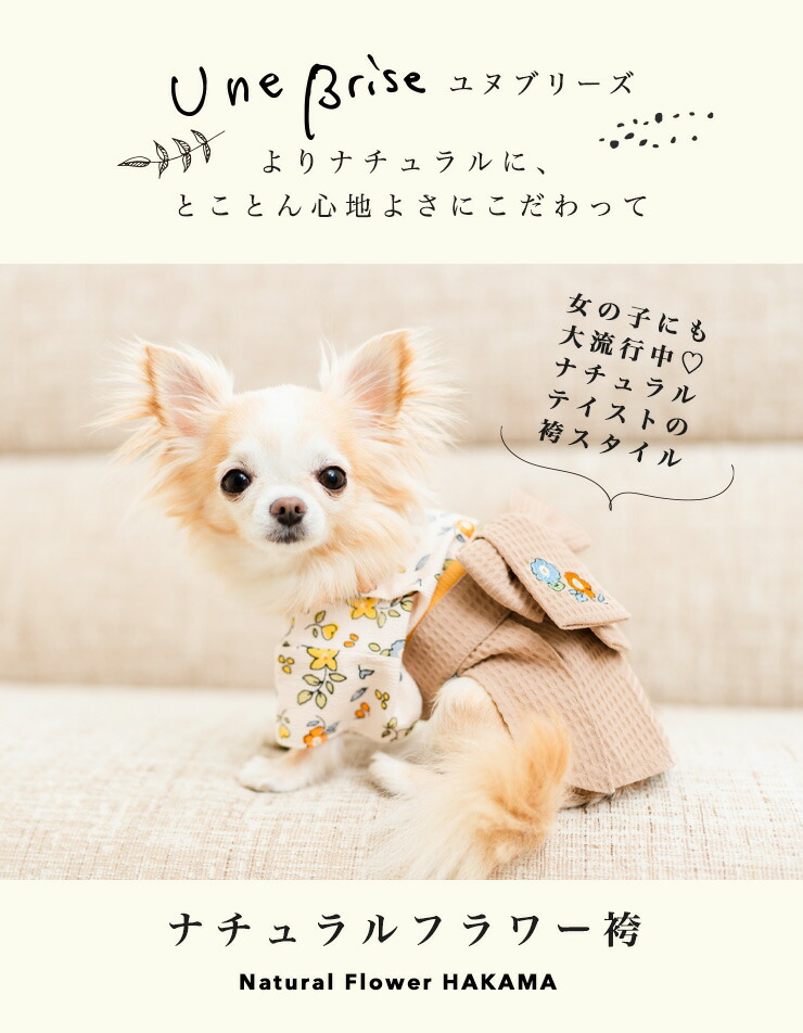 犬 袴（犬服、アクセサリー）の商品一覧｜犬用品 | ペット用品、生き物