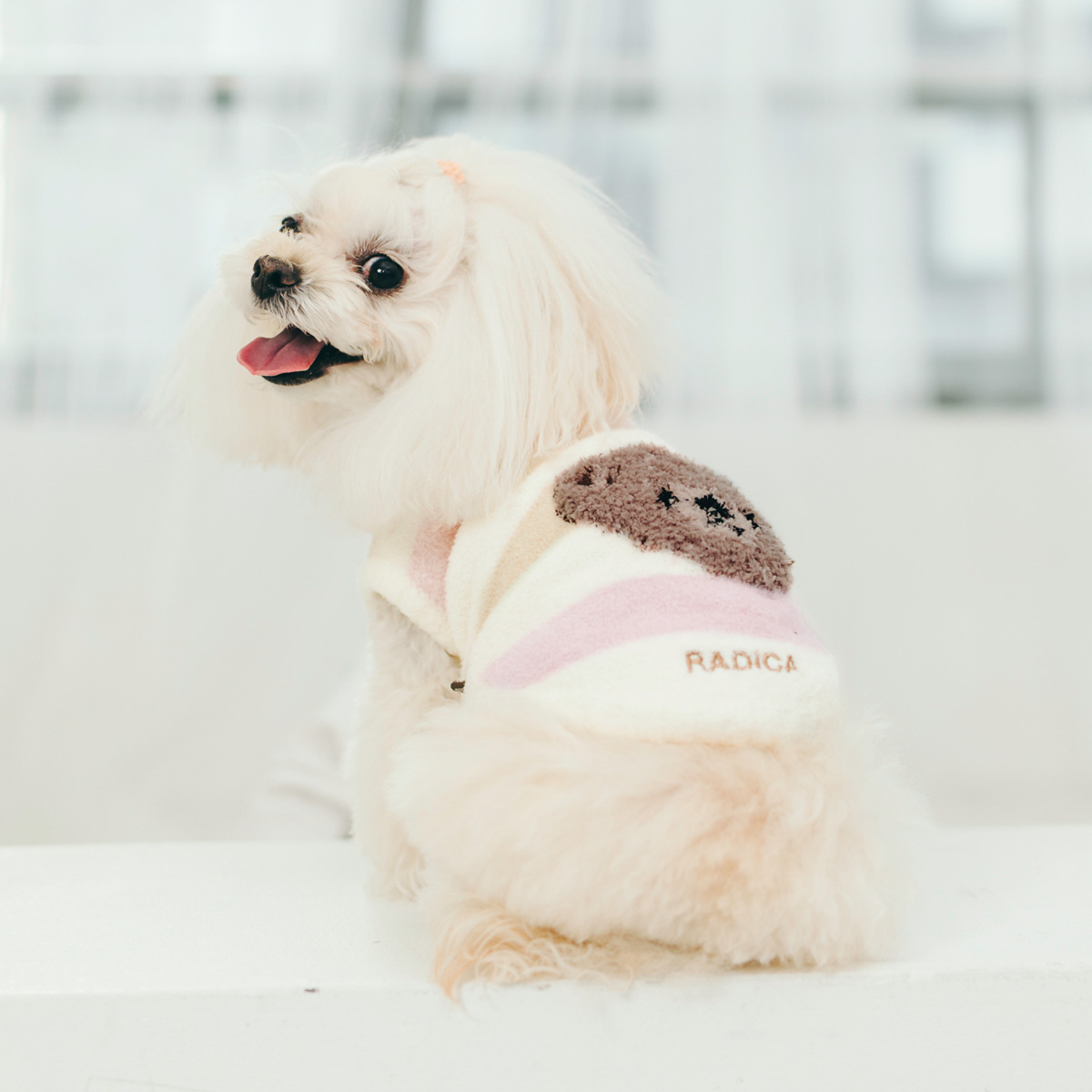 RADICA（ラディカ） 爆買 【まとめ買いクーポン対象】【700円OFF】犬