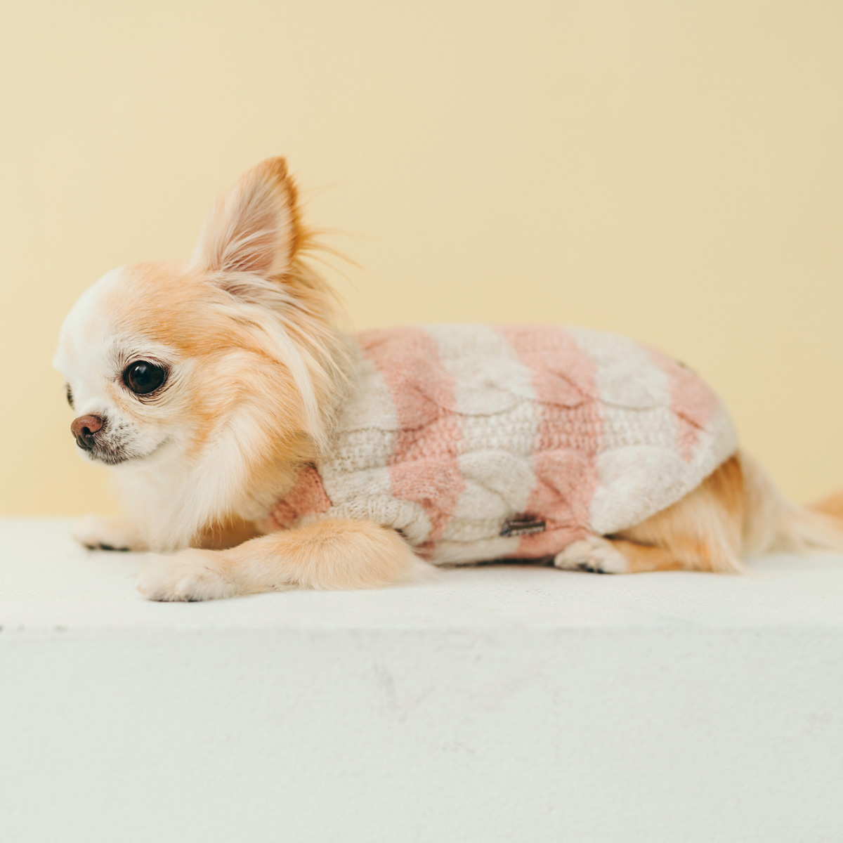 RADICA（ラディカ） 犬 服 ミックスアランリアルニット ドッグウエア