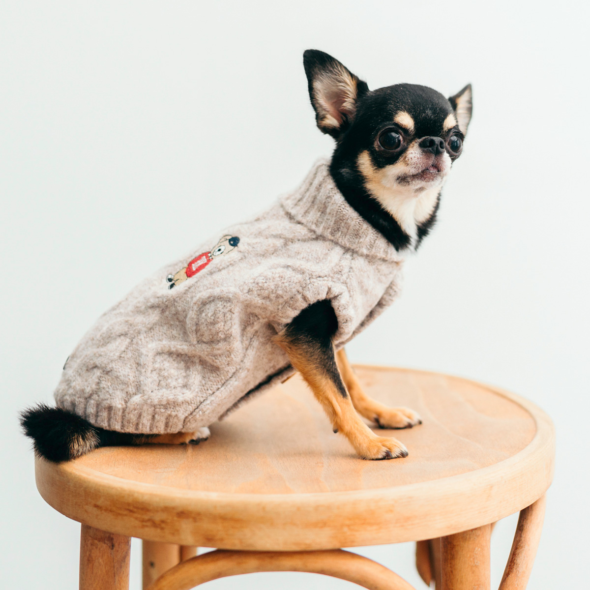 RADICA（ラディカ） 犬 服 ミックスアランリアルニット ドッグウエア