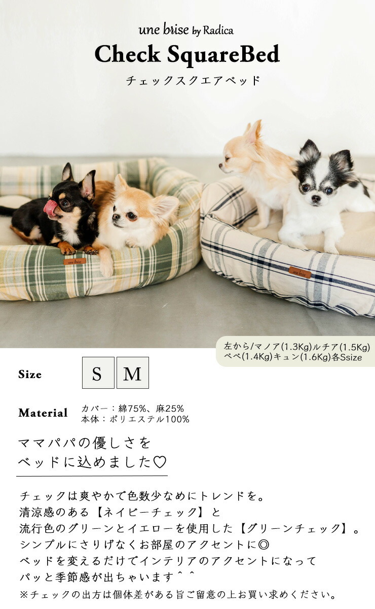 最大の割引 夏ベッド半額SALE 犬 猫 ベッド ラディカ スクエアベッド 洗えるカバー付き Mサイズ クッション 猫用 犬用 メール便不可  discoversvg.com