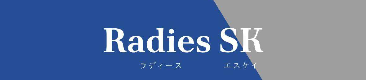 Radies SK カー用品LED専門店 ヘッダー画像