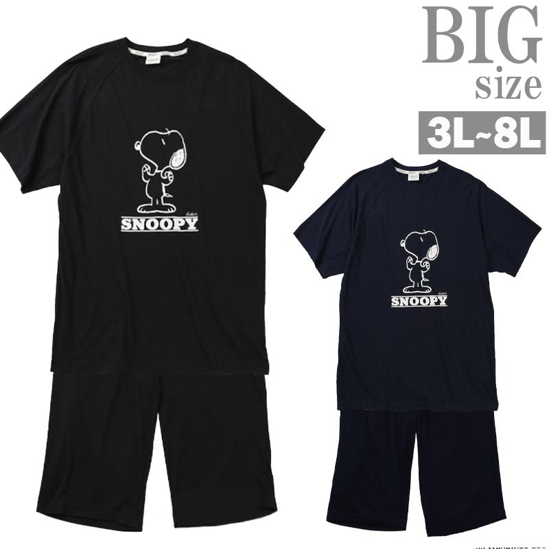 スヌーピー VAN ・JAC・ フットボールTシャツクッションセット Tシャツ 上下 スヌーピー 大きいサイズ メンズ SNOOPY セットアップ 夏