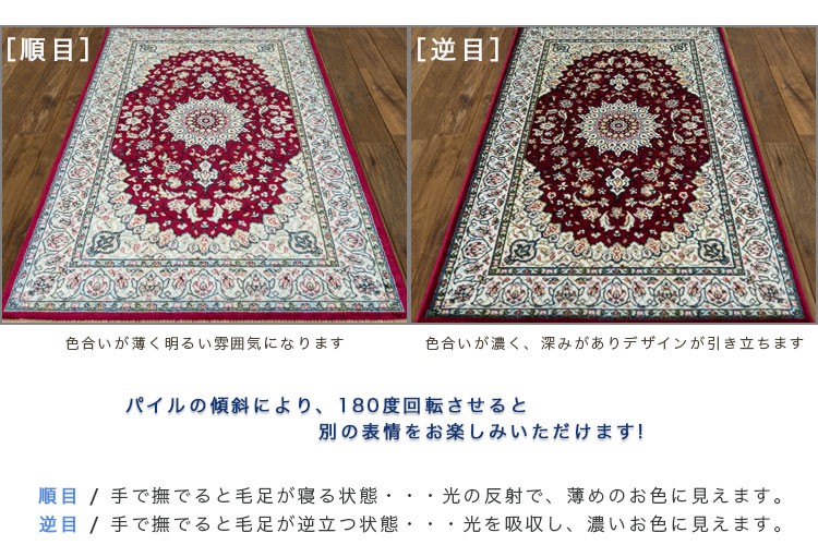サヤンサヤン シルクタッチ 玄関マット 67×105cm 室内 屋内 高級 感