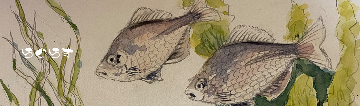 raguras ヘッダー画像