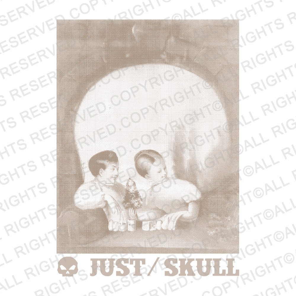 隠し絵 Tシャツ ジャスト Double Image Skull 半袖Tシャツ