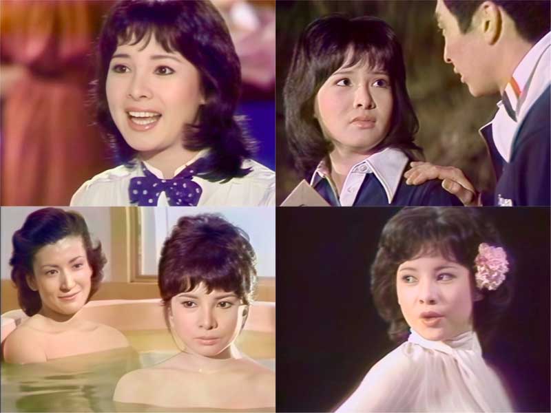 由美かおる主演 美しき背信 コレクターズDVD 昭和の名作ライブ