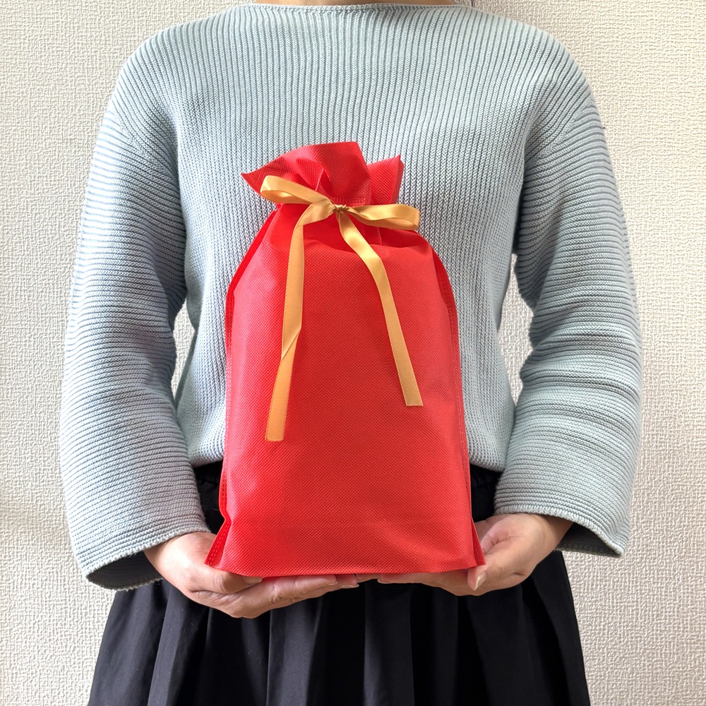 Xmas・中 10枚セット】ギフトラッピング クリスマス ラッピング 不織布