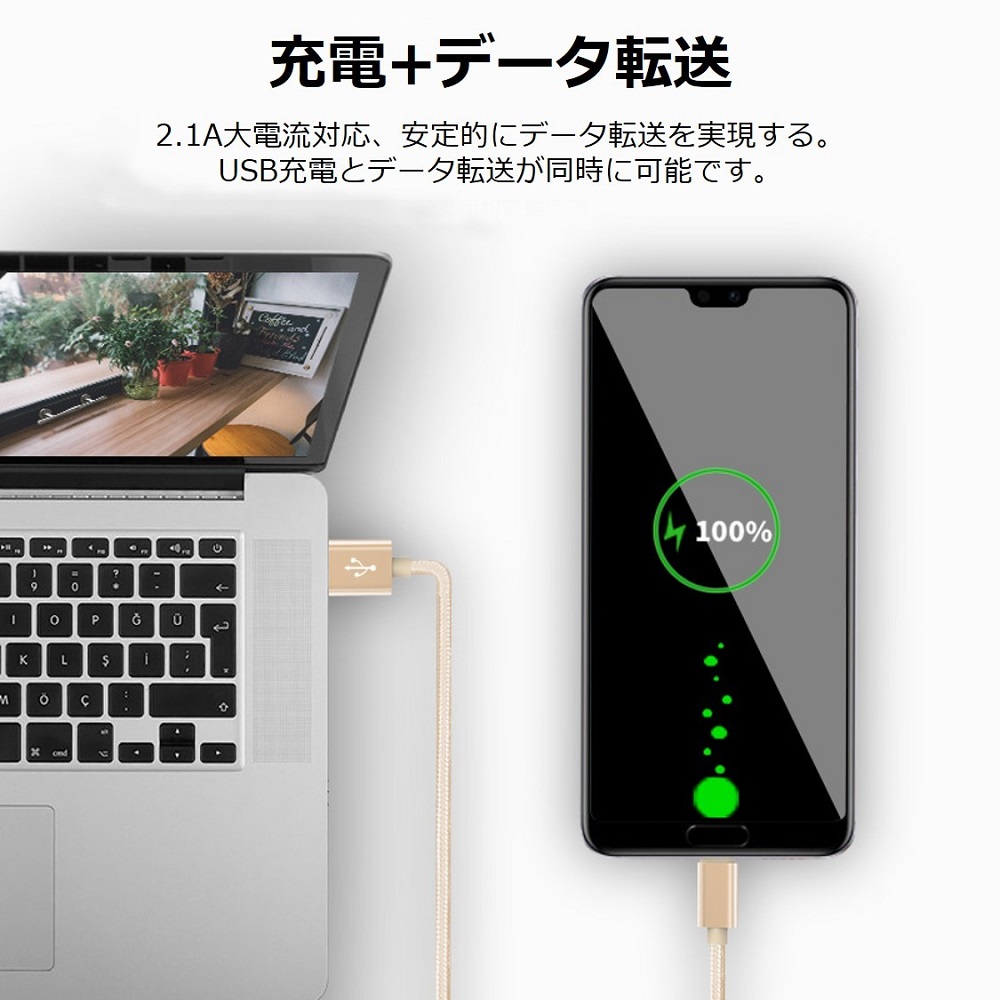 Lightning ライトニング ケーブル