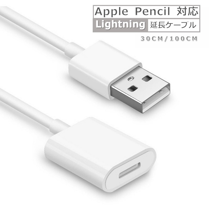 Apple Pencil 充電ケーブル ライトニング ケーブル 延長ケーブル 急速 