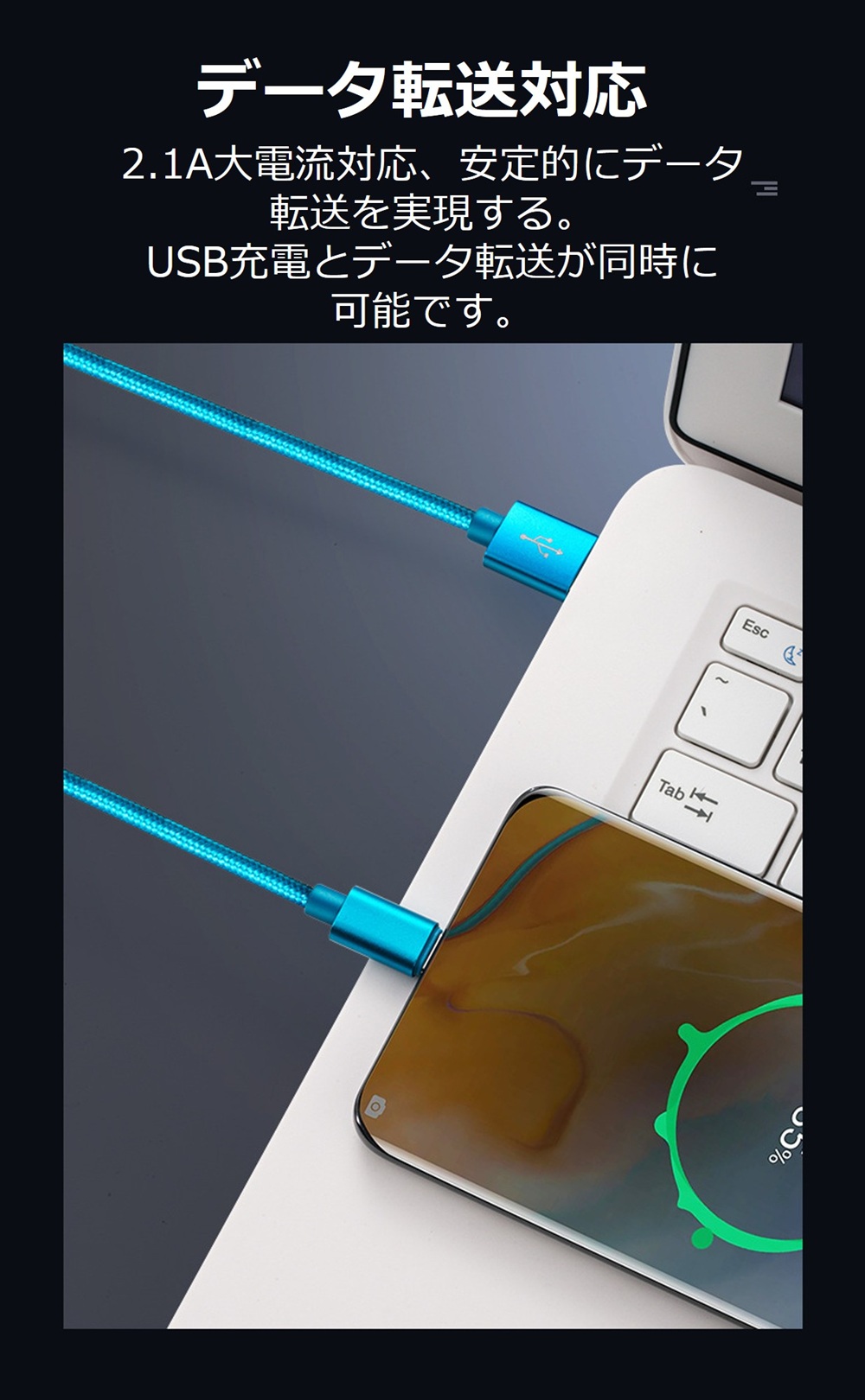 Type-C ケーブル 1M