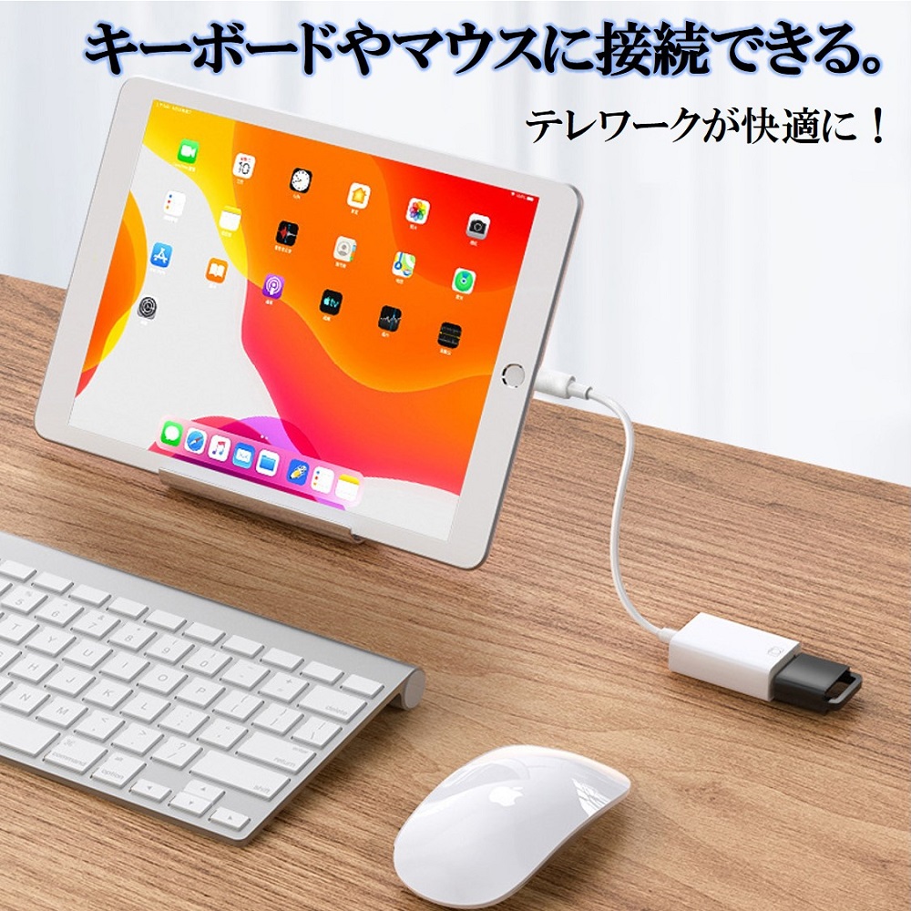 Type-C OTG 変換ケーブル Type-C to USB Type A 変換アタブタ TypeCオス to USBメス