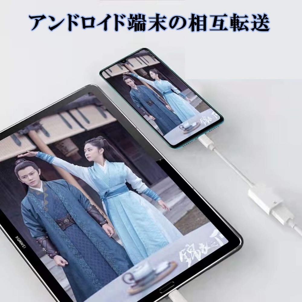 Type-C OTG 変換ケーブル Type-C to USB Type A 変換アタブタ TypeCオス to USBメス