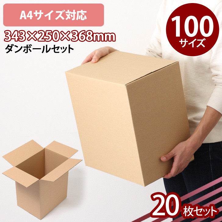 ダンボール 100サイズ A4 20枚セット 段ボール 梱包 配送 引越 収納