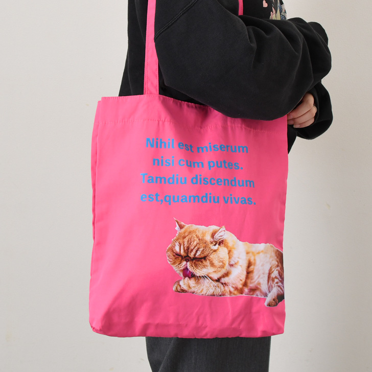 aristella アリステラ トートバッグ レディース a4 軽い 大きめ 大容量