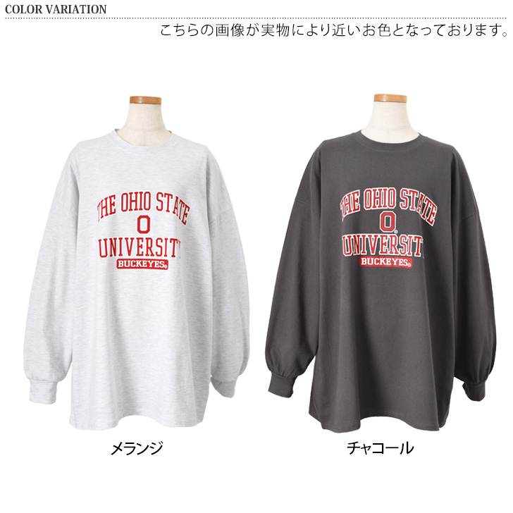 ロンT 長袖 Tシャツ カットソー レディース 厚手 ヘビーウェイト 春