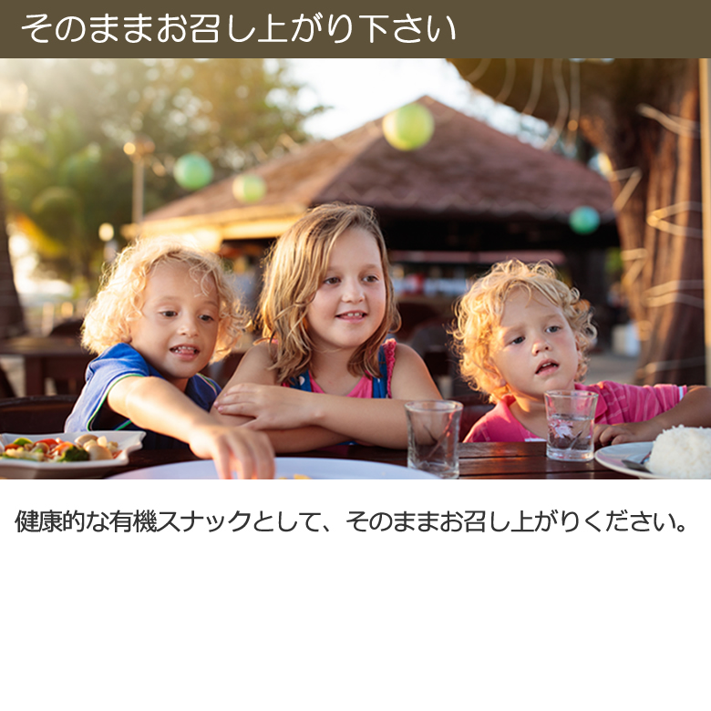 “有機ココナッツチップノンフライ