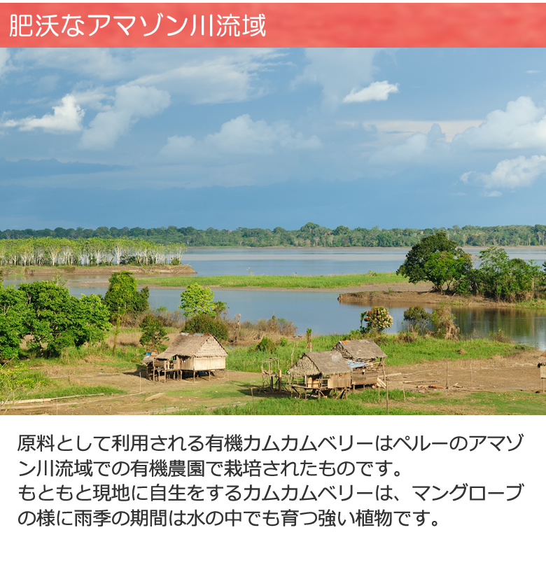  有機カムカムベリーパウダー 100G 天然のビタミンC レモン果汁55倍　有機JASオーガニック ペルー産