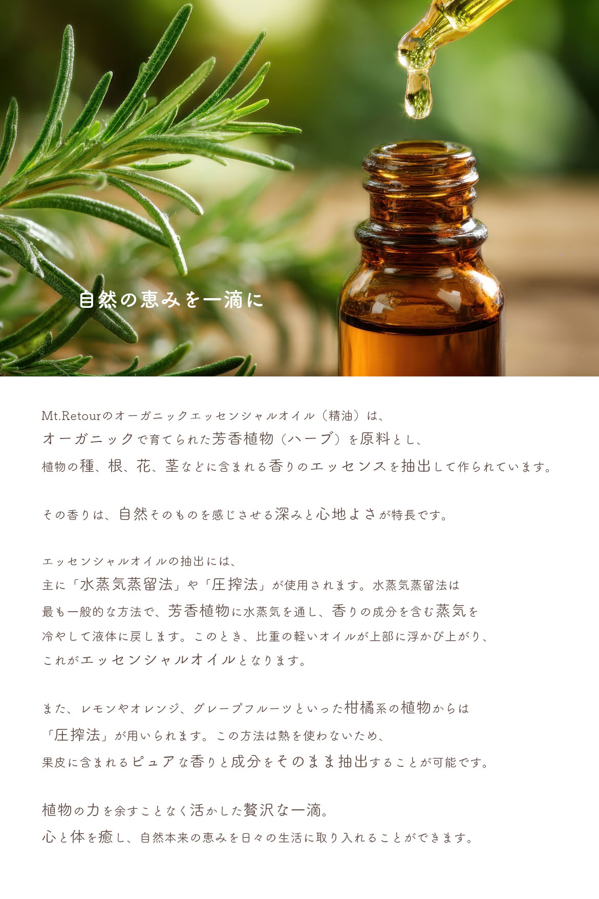 モンルトゥール　エッセンシャルオイル 