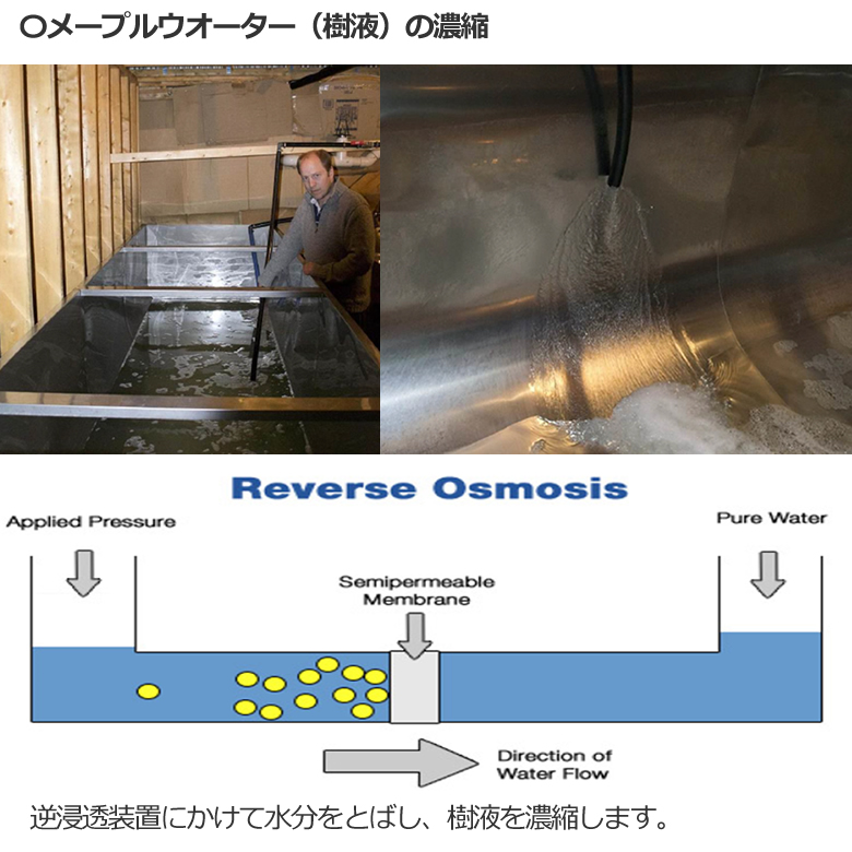 有機 メープルシロップ 330g カナダ産 JAS オーガニック