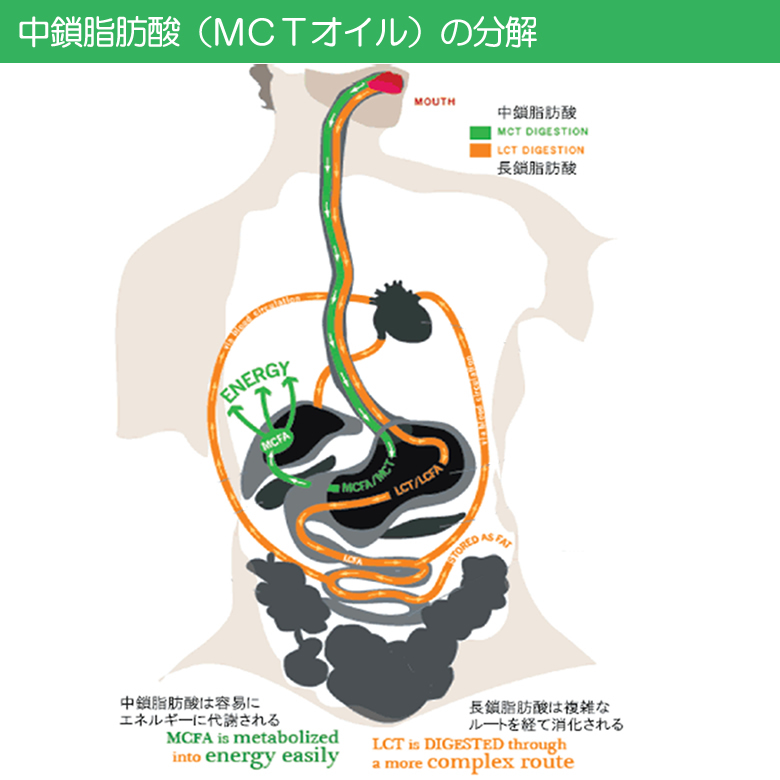 “有機JASオーガニック　MCTオイル”