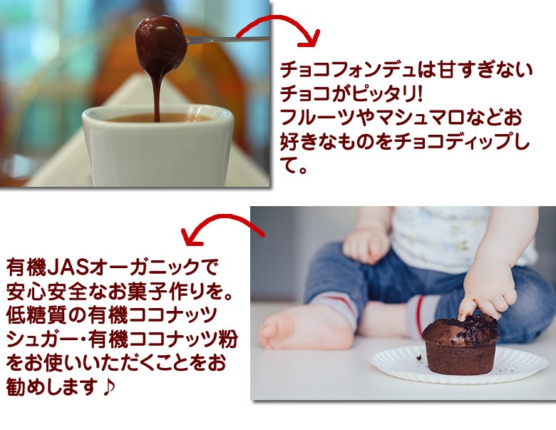 有機JASオーガニック ダークチョコレートチップ クーベルチュール