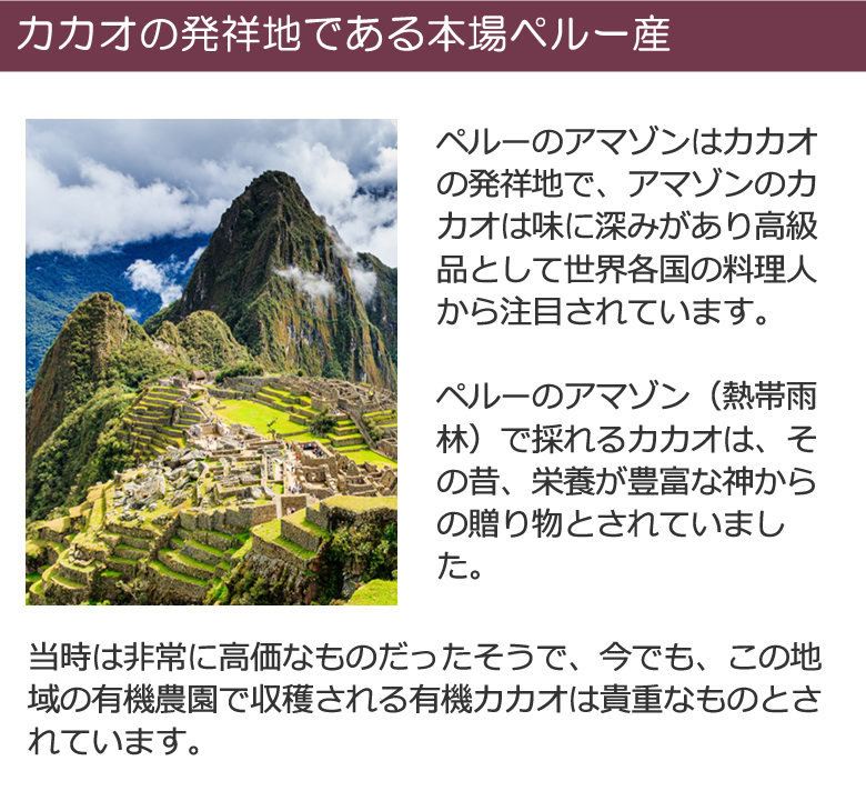 有機JASオーガニック サチャインチナッツチョコレート サチャインチ チョコボール チョコレートボール グリーンナッツ インカインチ クーベルチュール ペルー産”