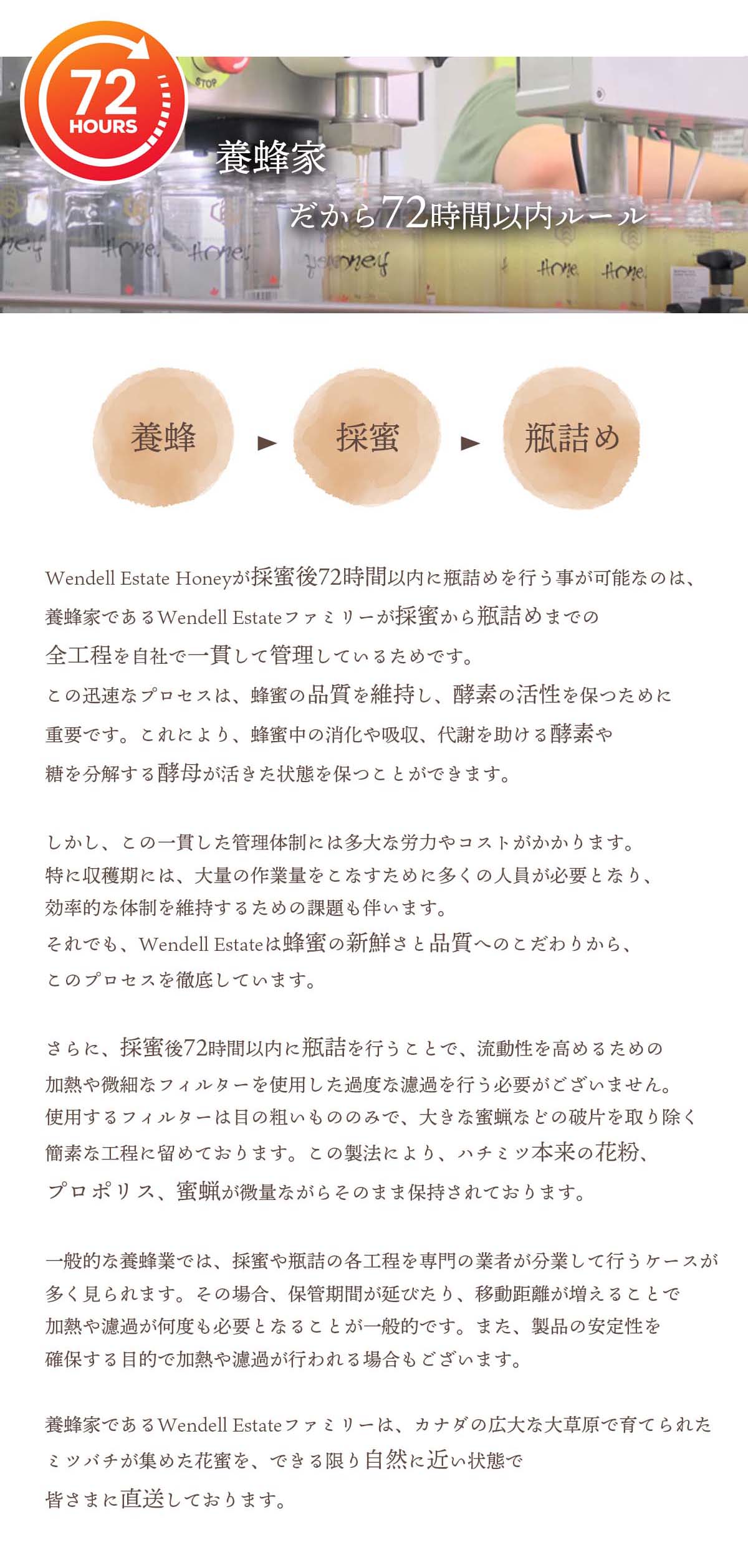 オーガニック生ハチミツ500g 酵素や酵母が活きている クリーム状Raw 有機はちみつ 無濾過・非加熱・無殺菌 花粉・プロポリス・蜜蝋が含まれた蜂蜜