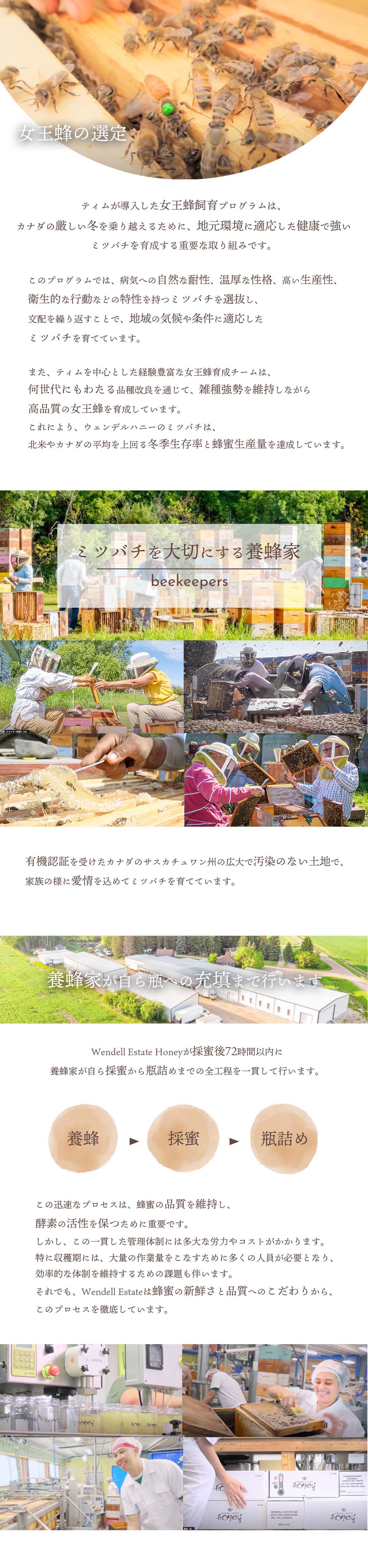 オーガニック生ハチミツ500g 酵素や酵母が活きている クリーム状Raw 有機はちみつ 無濾過・非加熱・無殺菌 花粉・プロポリス・蜜蝋が含まれた蜂蜜