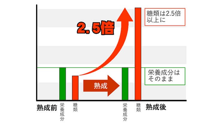 熟成することで糖類が2.5倍に！