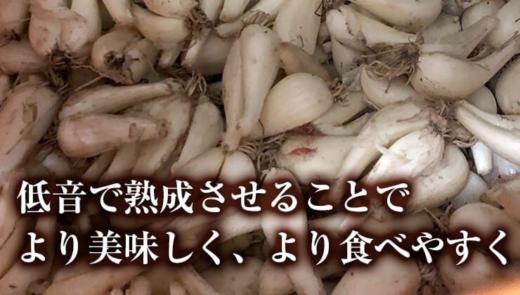 低温熟成することで生でも食べやすくなりました！