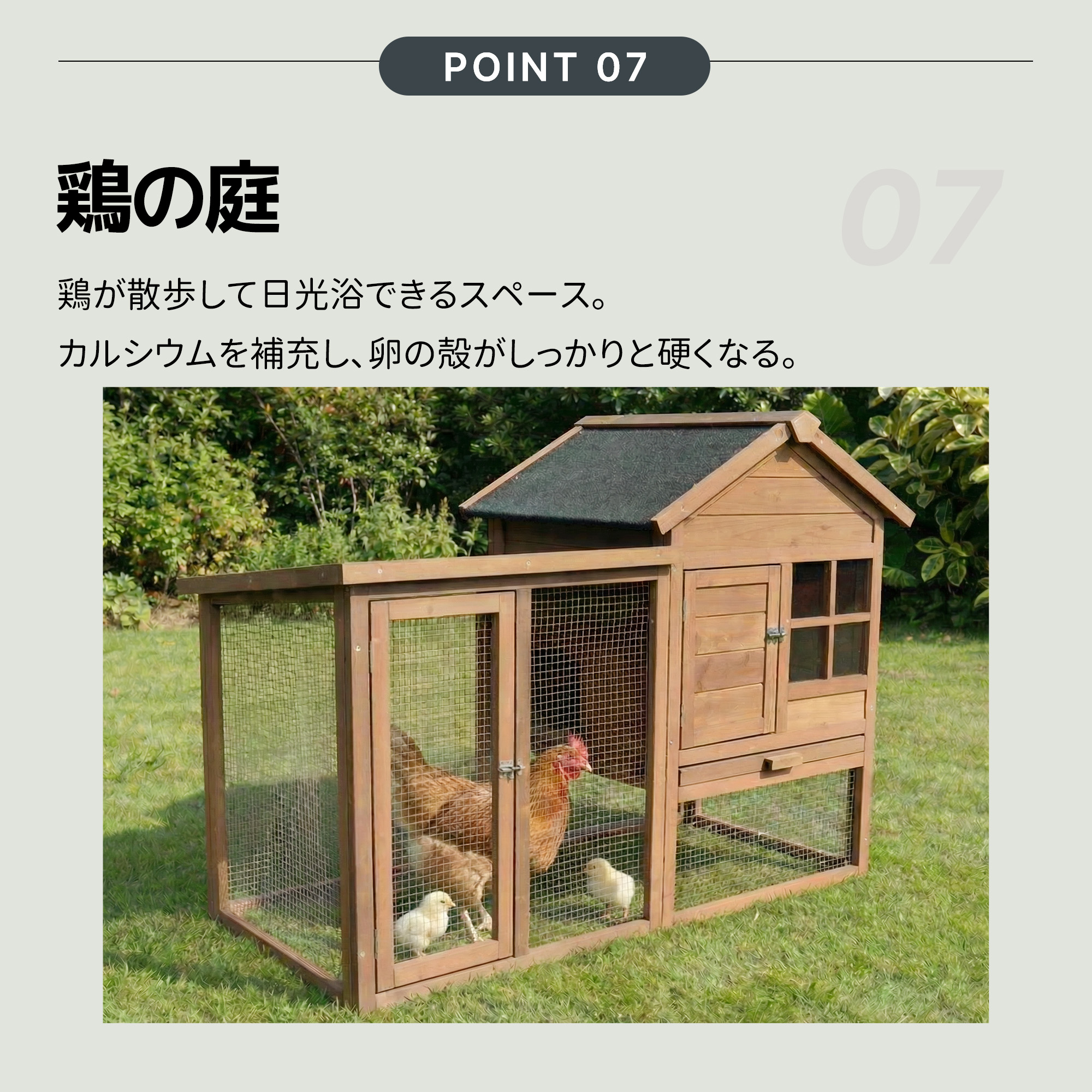 大型ペットケージ 小動物ケージ 鶏ケージ 4〜6 羽用 大型鳥かご 無垢材