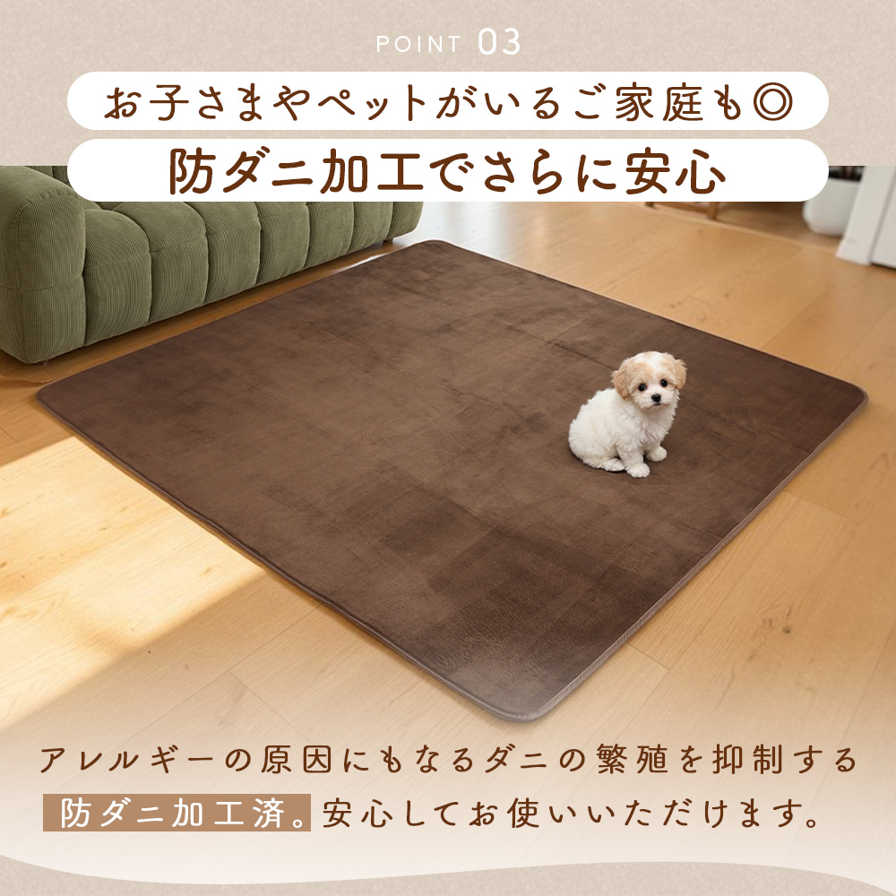 Sylphease（シルフィーズ） ラグ 洗える 防ダニ 抗菌 防臭 無地