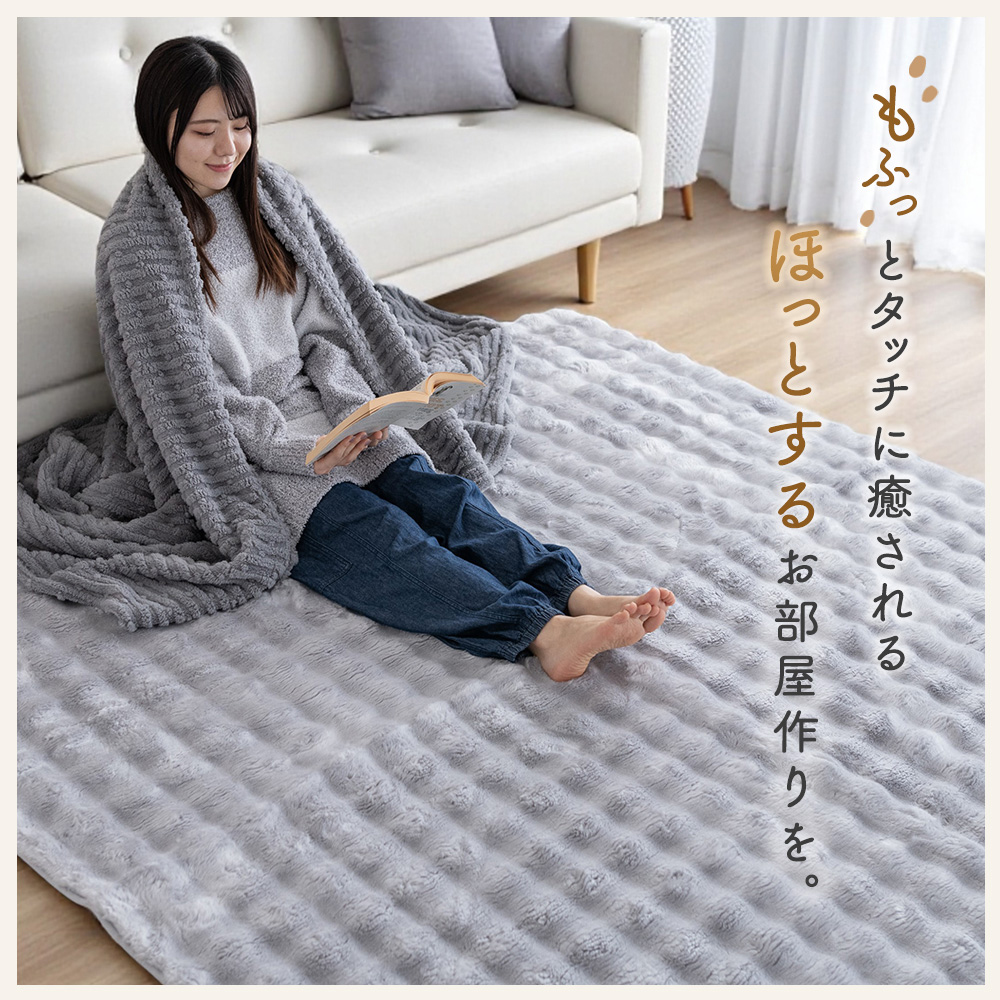Sylphease（シルフィーズ） ラグ 2畳 ラグマット カーペット 3畳 冬