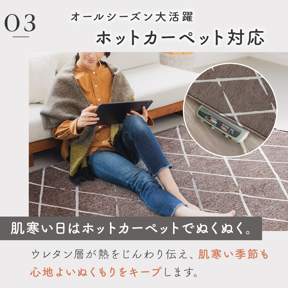 Sylphease（シルフィーズ） ラグ 2畳 185×185 洗える 綿混 シェニール