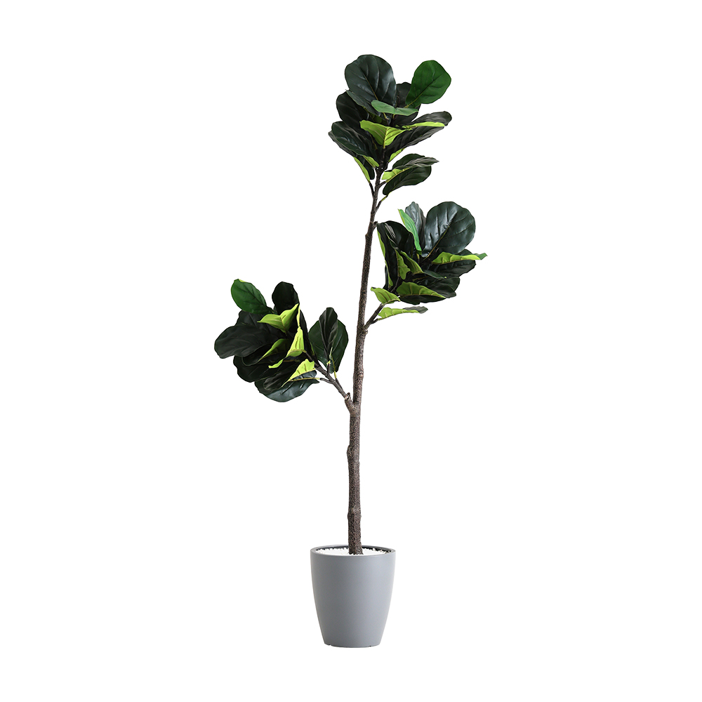 人工観葉植物 インテリアグリーン フィカス・リラータ フェイクグリーン リアル 精巧 観葉植物 高さ180cmの画像