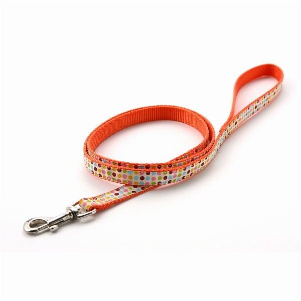 犬 リード おしゃれ ラロック アミット リボンとテープ素材のリード Sサイズ 小型犬用リード メール便のみ送料無料 |  | 02