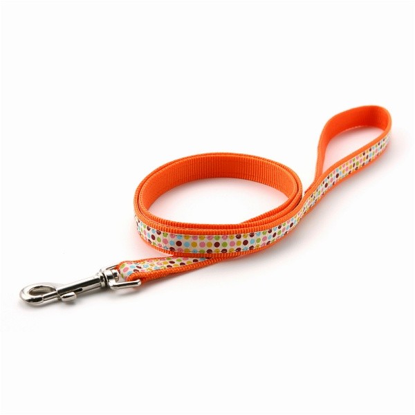 犬 リード おしゃれ ラロック アミット リボンとテープ素材のリード Mサイズ 中型犬用リード メール便のみ送料無料 |  | 02