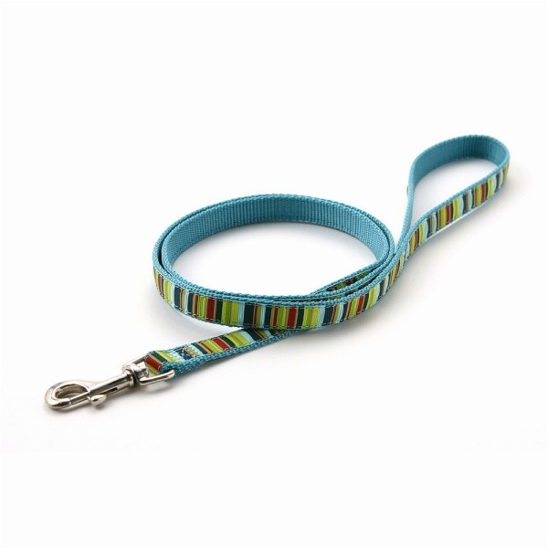犬 リード おしゃれ ラロック アミット リボンとテープ素材のリード Sサイズ 小型犬用リード メール便のみ送料無料 |  | 04