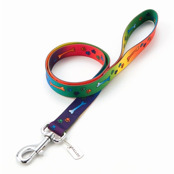 アウトレット 返品交換不可 犬のリード ラロック ソフトタッチリード 大型犬用リード Lサイズ メール便のみ送料無料 |  | 01