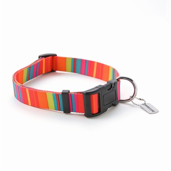 アウトレット 返品交換不可 犬の首輪 ラロック ソフトタッチカラー 大型犬用首輪 Lサイズ メール便のみ送料無料 |  | 02