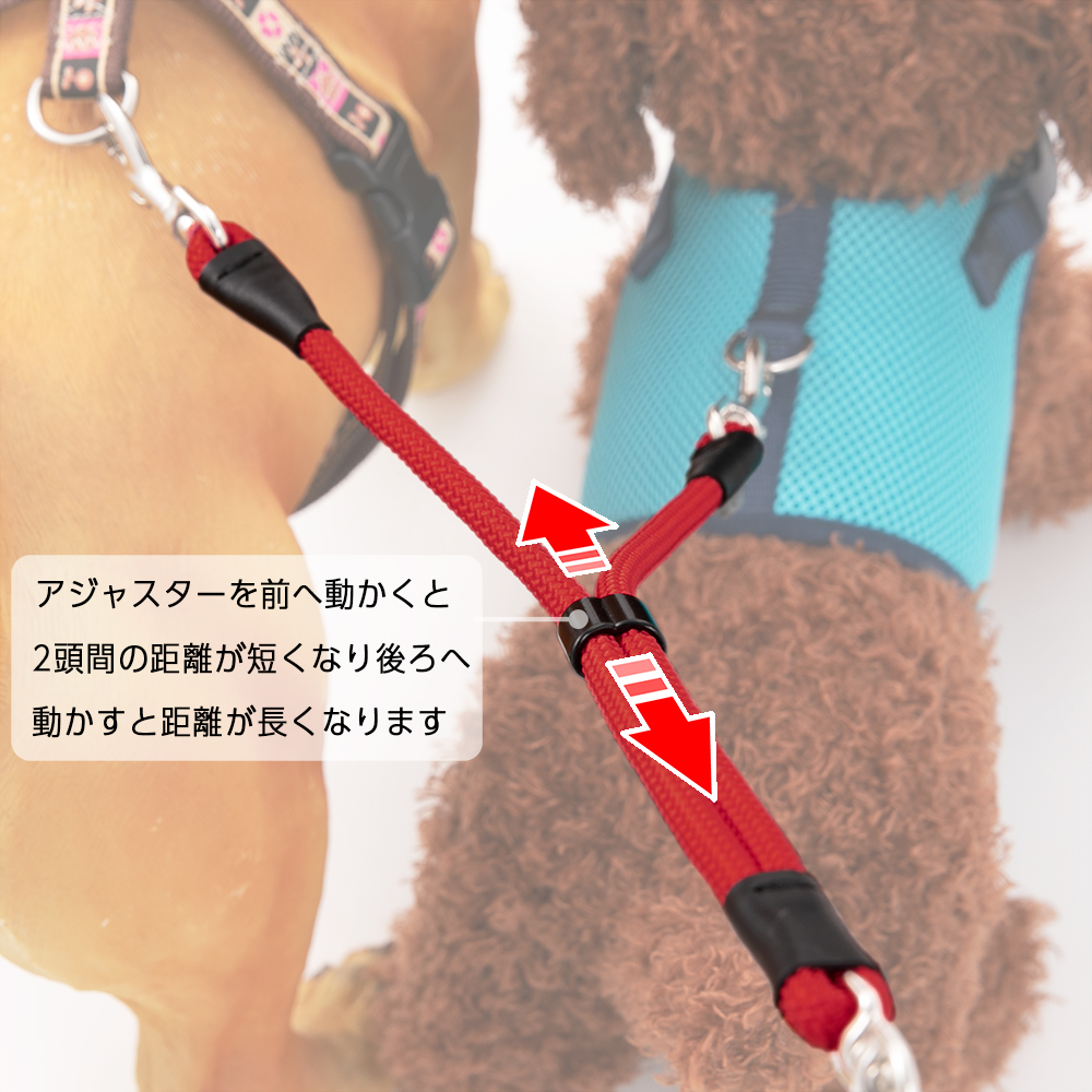 海外輸入犬 二頭引きリード ２頭の合計体重が10kgまで メール便のみ送料無料 ラロック Sサイズ 丸ひも二頭引き先端部 アミット ギフト包装可  首輪、ハーネス、リード
