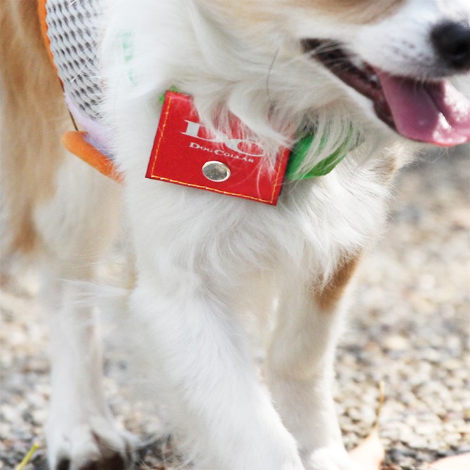 ラロック 犬用鑑札入れ迷子札 反射ロゴ付きカラーポーチ 使用写真1