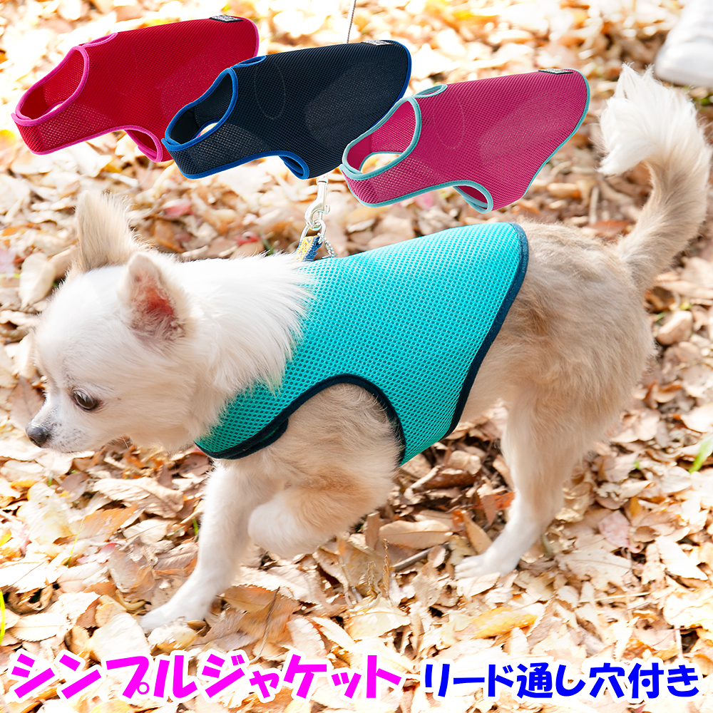 アウトレット 返品交換不可 犬 ジャケット ラロック シンプルジャケット メッシュ SS・Sサイズ 小型犬用 ドッグウェア メール便のみ送料無料